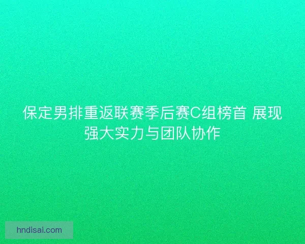 保定男排重返联赛季后赛C组榜首 展现强大实力与团队协作